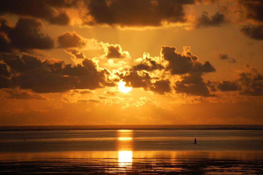 Get your vitamin D levels up to scratch Get you vitamin D levels up to scratch