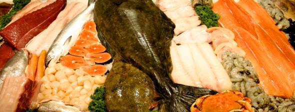 Fish Display590